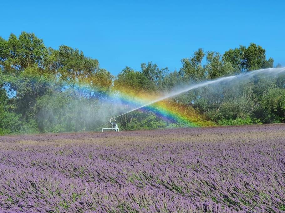L'Ardeche En Provence Avec Jardin Ombrage Villa Pont-Saint-Esprit Bagian luar foto